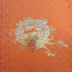 gramofonska ploca, lp, THE GRATEFUL DEAD - THE WARNER BROS. STUDIO ALBUMS (LIMITED EDITION)